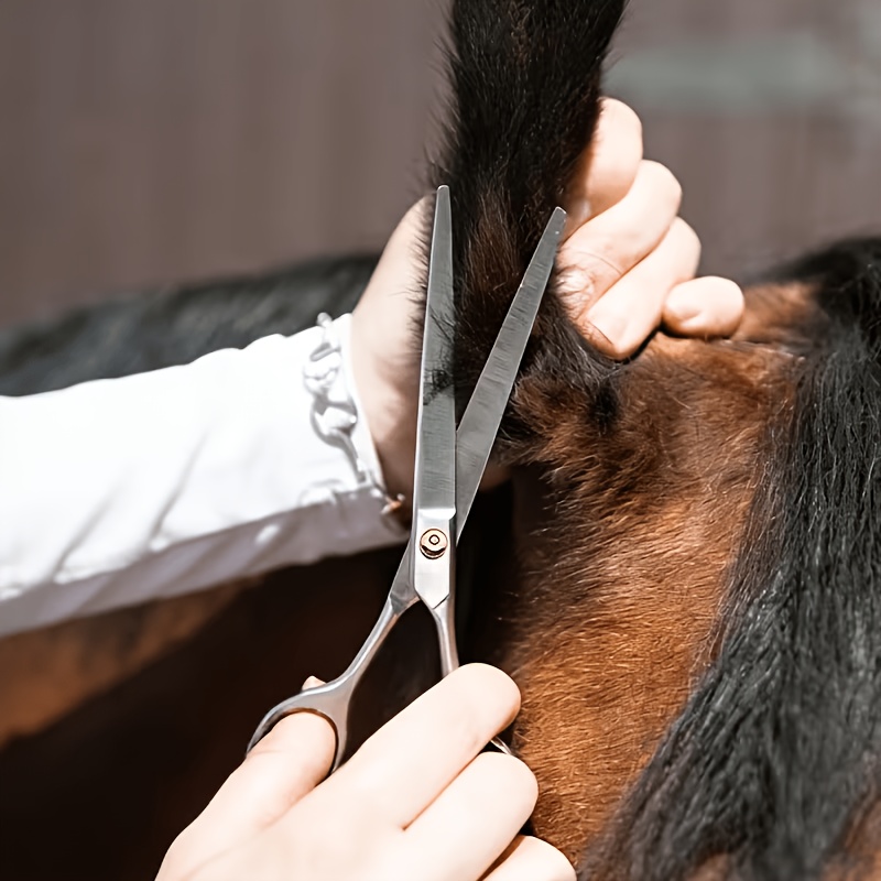 Set di Strumenti per la Toelet - Grooming Kit Horse recensione e prezzo