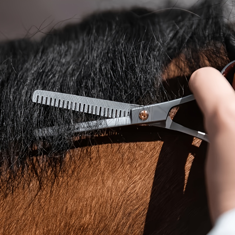 Set di Strumenti per la Toelet - Grooming Kit Horse recensione e prezzo
