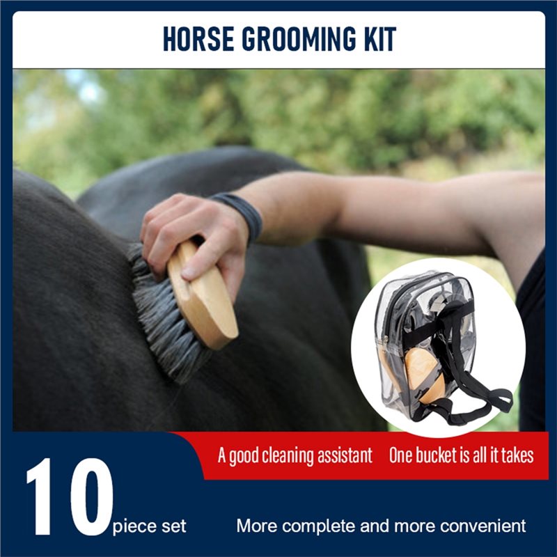【SPECIALE】Kit per la cura del  - Grooming Kit Horse recensione e prezzo