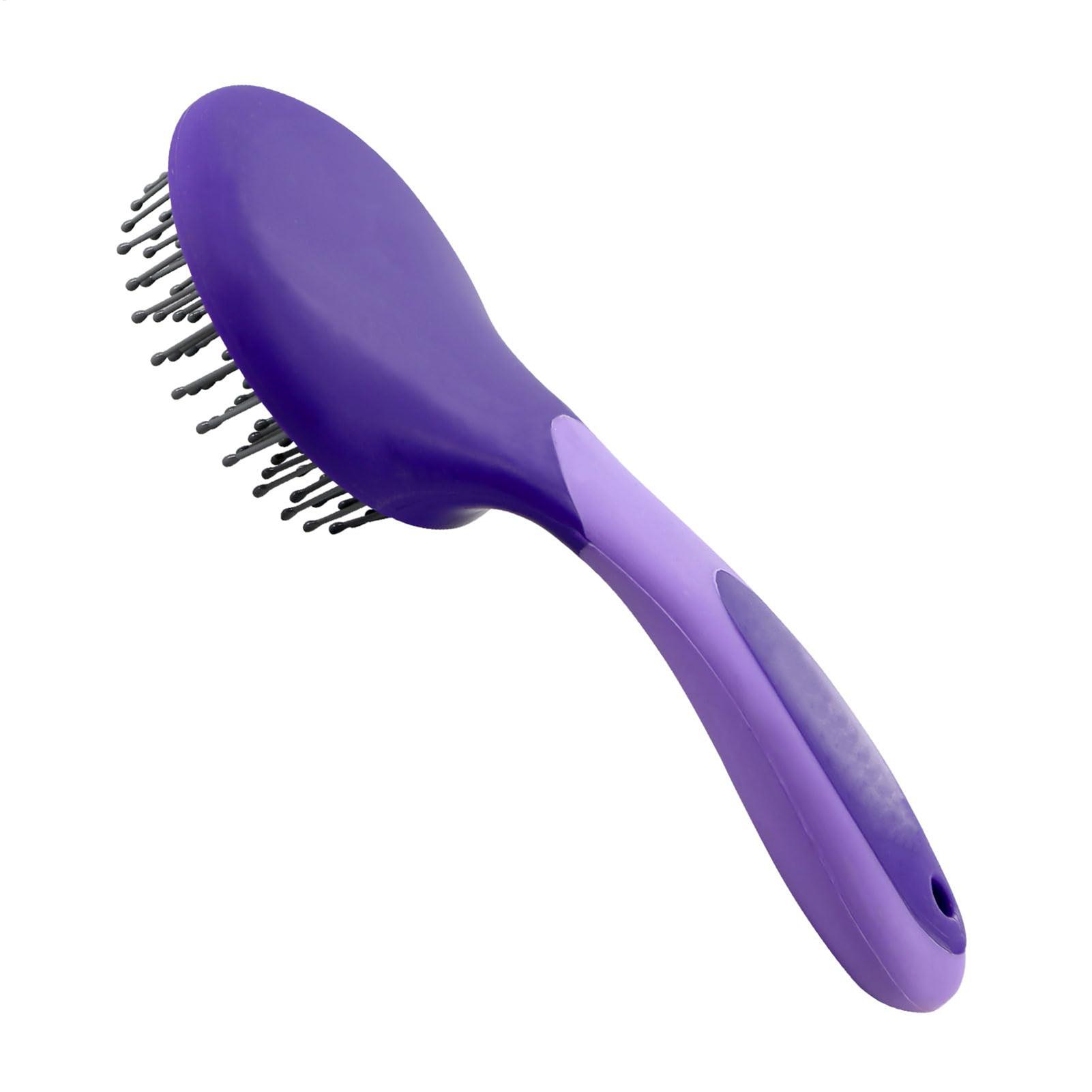 Spazzole Professionali per la  - Grooming Kit Horse recensione e prezzo