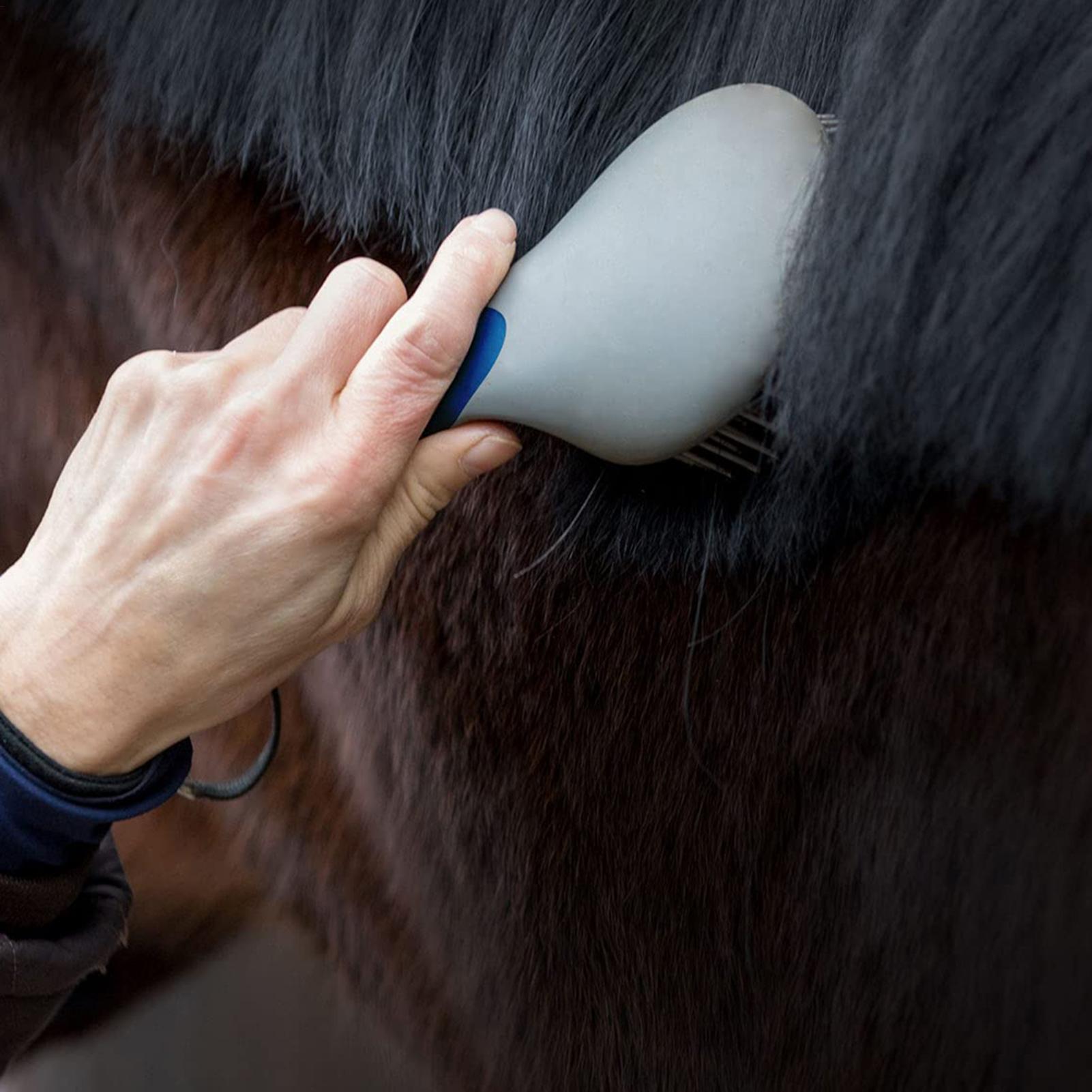 Spazzole Professionali per la  - Grooming Kit Horse recensione e prezzo
