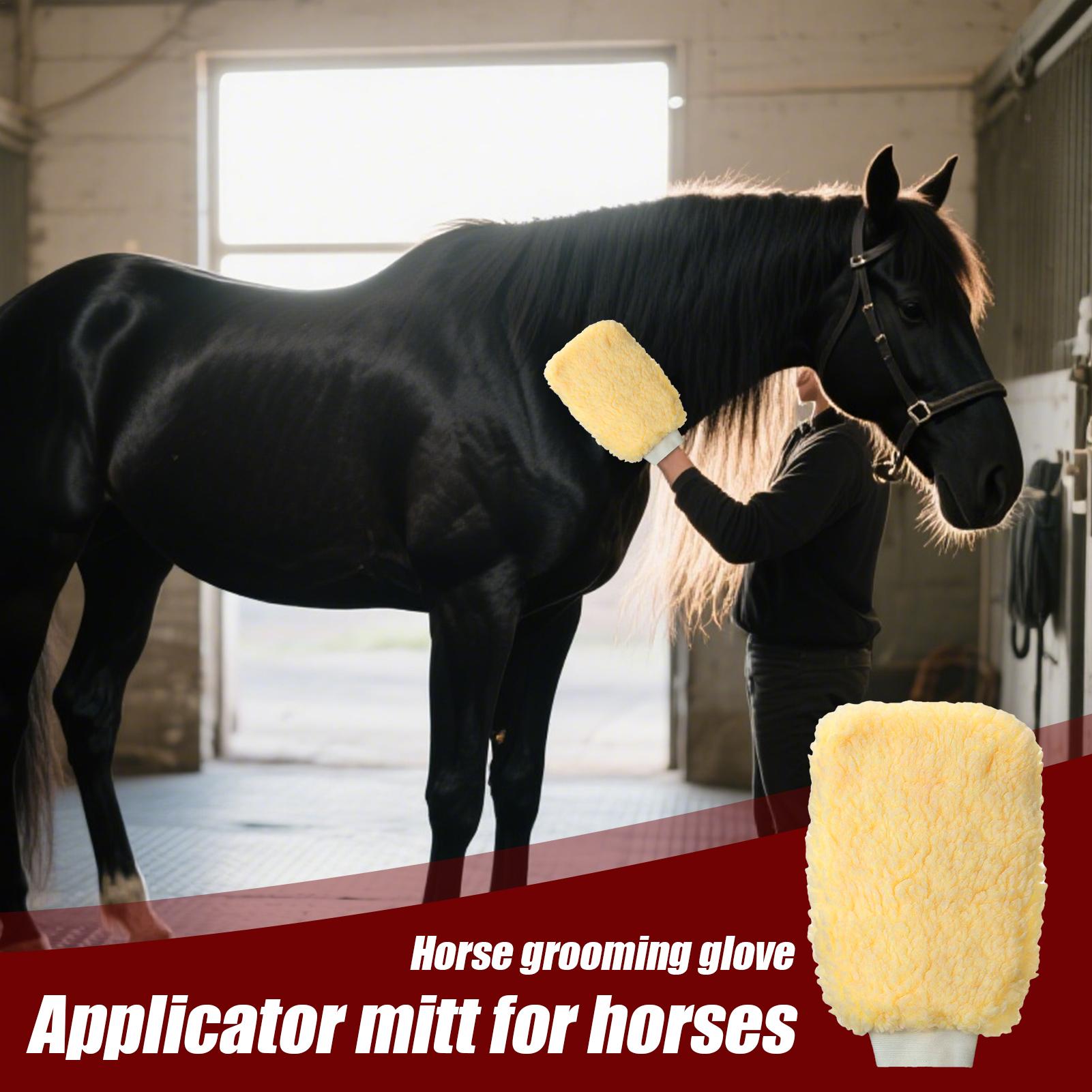 Guanto applicatore per guanti  - Grooming Kit Horse recensione e prezzo